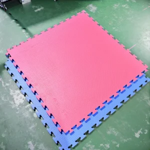 100x100cm Colorful Non-Slip EVA Foam Gym Mats for Karate Judo Fitness Workout and Taekwondo