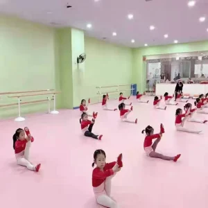 15 Year Warranty Hospital School Metro Sport Gym Floor Homogeneous Dance Room PVC Vinyl Flooring