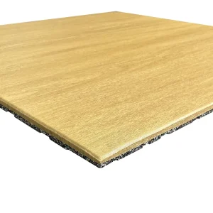 15mm Anti-Slip Shock-Absorbing Anti-Static Rubber Gym Mat for Weightlifting and Cardio, Washable