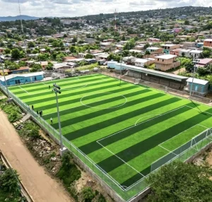 40mm 50mm PE Soccer Grass Artificial Football Turf for Football Pitch, Gym and School