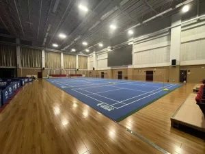 6.0mm PVC Safety Cushioned Floor Tiles Multi-Activity Play Fitness Gyms Kids’ Fitness Waterproof