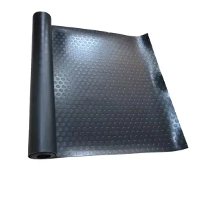 Anti-slip Material Custom Multifunctional Floor Mat for Cars