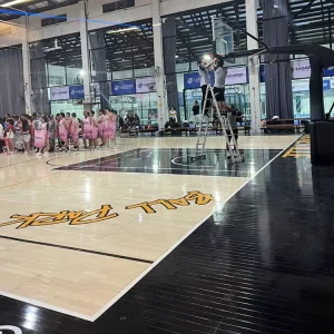 Birch Hardwood Eco-Friendly Non-Slip Gym Sports Flooring System