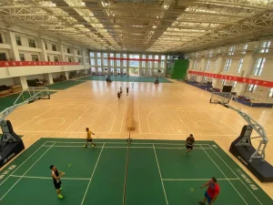 China Factory’s FH Brand FH 22S Durable 22mm Thick Maple Wooden Sports Flooring Basketball Court Eco Friendly Shock Absorption
