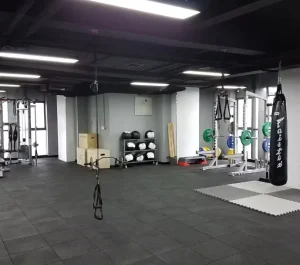 Colorful Gym Professional Sports Rubber Floor Mat EPDM Rubber Roll