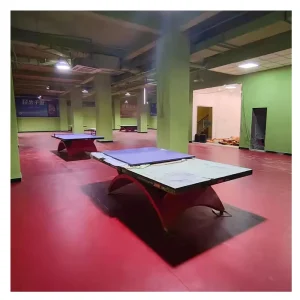 Commercial Resilient Indoor Sports Flooring Mat Red Blue Green Foam Floor for Ping Pong & Table Tennis Artificial Grass