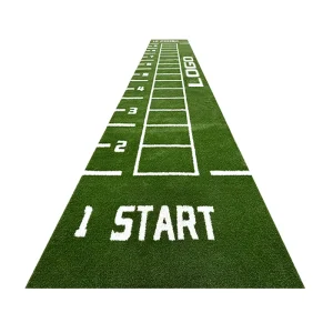 Custom 15mm PP/PE High-Density Artificial Grass for Gym and Sports Fields, Waterproof Fire-Resistant Green