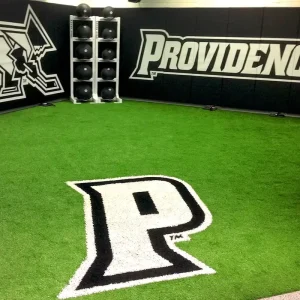 Custom Logo Printed Fitness Mat for Sprint Tracks and Sports Flooring