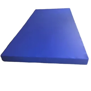 Custom Non-Slip Gymnastics and Wrestling Exercise Floor Mat