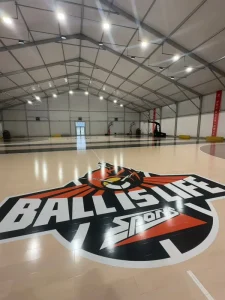 Customizable Portable Indoor Sports Court Easy Installation Wooden Basketball & Badminton Court on Artificial Grass