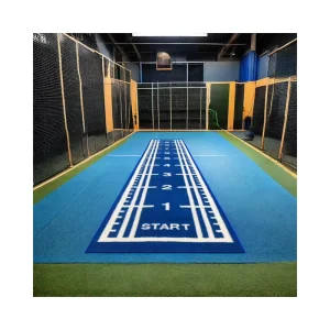 Customized Blue Indoor Gym Turf Fitness Set Non Slip Sports Flooring Mat Functional PP Artificial Grass Carpet