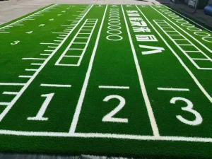 Customized Eco-Friendly Indoor Fitness Gym Turf Mat Soccer Sled Running Track Soft Plastic Artificial Grass Carpet
