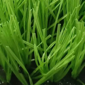 Durable Green PE Filament Artificial Grass 40mm50mm for Garden Playground Outdoor Football Soccer School Sport Floor Turf