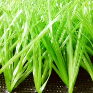 Durable PE Filament Artificial Grass 40mm 50mm 60mm for Outdoor Playground Football Soccer Futsal Sport Turf