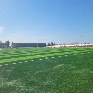 Durable PE Monofilament Artificial Grass 40mm 50mm for Padel Tennis Gateball Playground Football Soccer Futsal Pitch Turf