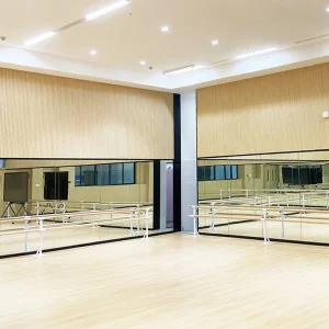 Durable PVC Vinyl Flooring for Gym and Dance Studios