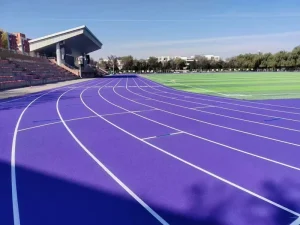 EPDM Granules Recyclable Rubber Particles for Athletic Running Track