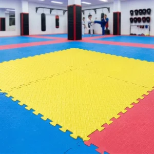 EVA Taekwondo Mat Children’s Crawling Mat Dance and Gymnastics Training Mat Foam Floor Mat 100 cm Direct Factory Supply