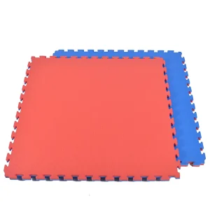 Eco-Friendly 60x60cm Thick Gym Floor Mats Puzzle Tatami Exercise Mat With EVA Foam Tiles
