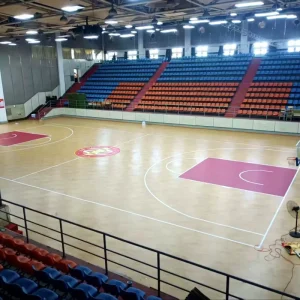 Enlio Pro PVC Wood Visual Tiles Waterproof Basketball Court Flooring for Indoor Sports Volleyball Cricket