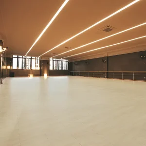 FIBA Approved Synthesis Indoor Interlocking Floor Wooden Sports Flooring Tiles Basketball Court Wood Flooring