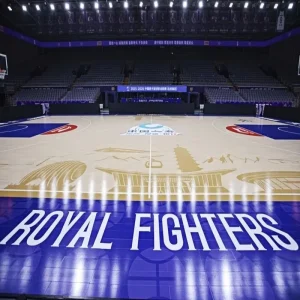 FIBA Certified Portable Quick Assembly Basketball Tennis Sports Field Maple Wood Fireproof High Density Sport Floor Artificial