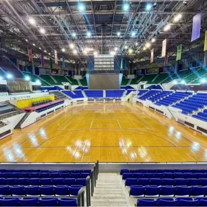 FIBA Level 1 Certified Engineered Maple Professional Basketball Court Shock Absorbing Termite Resistant