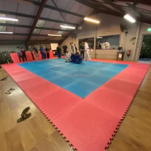 Factory Direct 1x1m Martial Arts Training Exercise Mat Anti-Slip Thickened Two-Color EVA Foam Tatami Mat