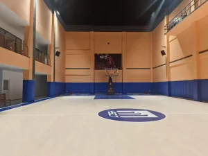 Fiba Approved Indoor Portable Basketball Badminton Court Flooring Tiles Maple Wood Panel Eco Friendly Fire Resistant Durable