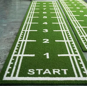 Fitness Grass Gym Turf Eco-Friendly PE+PP Material Multi-Color Customizable Size for Gym and Sport Courts Flooring