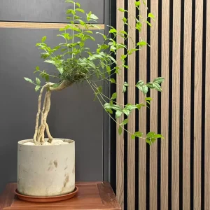For Modern Wooden Wall Paneling Wood Wave Design Acoustic Panel Eco Friendly Highly Effective Sound Absorption NRC 1.0 3D
