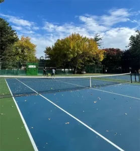 Free Samples Factory Acrylic Pickleball Tennis Court Flooring Roll Portable Indoor Outdoor Eco Friendly Shock Absorption Court