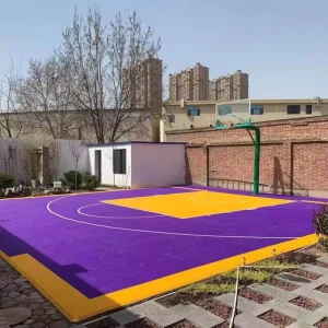 Game Pro Small Basketball Court