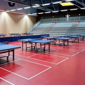 Glue Down Installation Eco PRO Piso Vinilico PVC Sports Court Flooring for Gym
