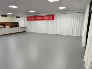 Gym Multi Functional PVC Vinyl Sports Flooring in Roll 5mm Thickness