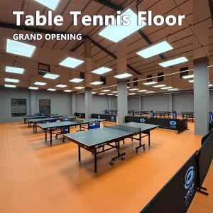 HANLI 5.2 MM Indoor Table Tennis Vinyl Floor Mat Cloth Grain Wear Resistant Custom Logo