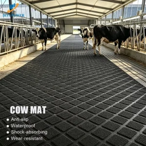 Heavy Duty Black Rubber Stable Mat Non Slip Studded Coin Rubber Flooring Roll for Horse Barns and Livestock Sheds
