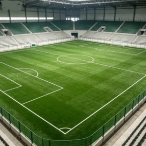 Heavy-Duty S-Shape Eco-Friendly Weather-Resistant Customizable Sports Artificial Grass Synthetic Turf for Schools