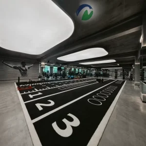 High Density 15mm Gym Turf Sled Track Artificial Grass Indoor Fitness Training Agility Carpet Non-slip Sports Flooring