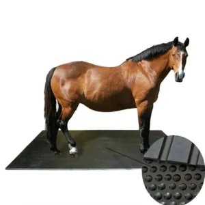 High Density 1M*2M*12mm Rubber Mats Floor for Horses and Animals