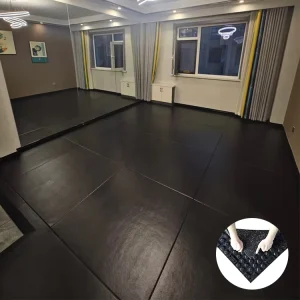 High-Density Anti-Static Eco-Friendly Rubber Puzzle Mat for Gym Flooring and Playground Surfaces