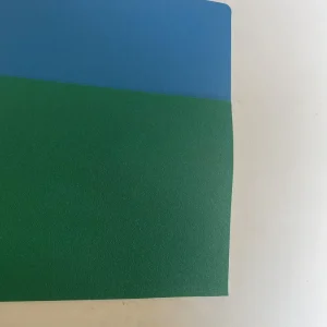 High Grip PVC Flooring for Table Tennis & Futsal Areas
