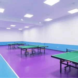 High Quality PVC Vinyl Roll Flooring New Style Sports Plastic Flooring for Indoor Soccer and Volleyball Table Tennis Court