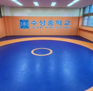 High Quality XPE Roll MMA Wrestling Mats Durable Waterproof Anti Slip Custom Printed Logo for Gym Training Sports Tournament