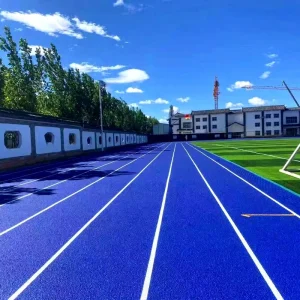 High UV Resistance Playground Rubber Flooring Colored EPDM Rubber Granule Spray Coat System Running Track