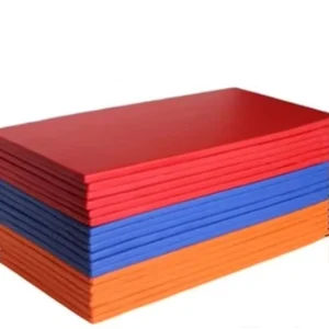 IJF Approved Martial Arts Jiu Jitsu Gym Floor Mat Soft Tatami 4cm Judo Sanda Training Anti slip & Durable