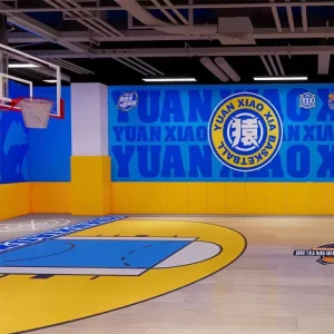 Indoor Children’s Fitness Protective PVC Sports Court Mat for Basketball