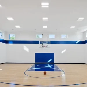Indoor Outdoor Sport Basketball Volleyball Waterproof Wooden Floor Solid Hardwood Flooring Interlock Gym Floor for Events