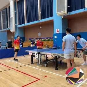 Indoor Sports Flooring PVC Material Court Mat Table Tennis Badminton Pickleball Eco Friendly Anti Slip Shock absorption Easy