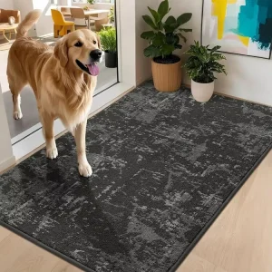 Indoor Tufted Dirt-Trapping PET-Friendly Non-Slip Absorbent Washable Front Door Mat